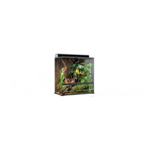 Terrariums Terāriji