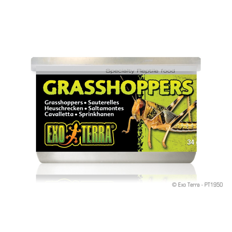 Exo Terra Grasshoppers 34g