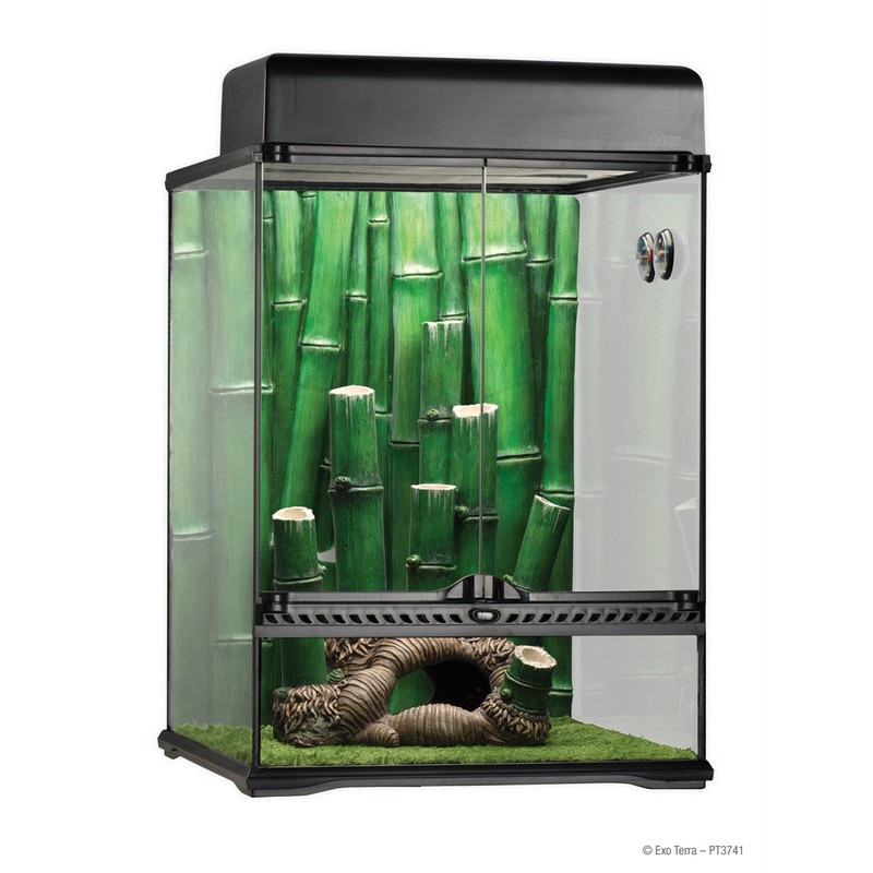 Exo Terra Bamboo Forest Starter Kit 45*45*60