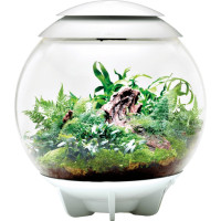 Oase biOrb Air 60 White Florarium