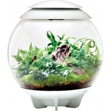 Oase biOrb Air 30 White Florarium