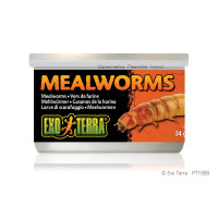 Exo Terra Mealworms 34g