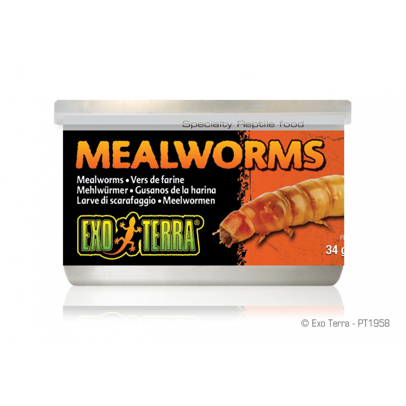 Exo Terra Mealworms 34g