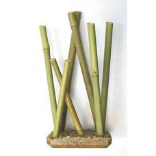 Bamboo Small