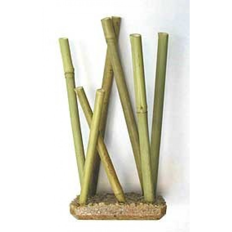 Bamboo Small