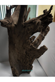 Aquadeco Driftwood Mangrove XL 70-80cm