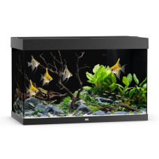 Juwel Rio 290 LED Black