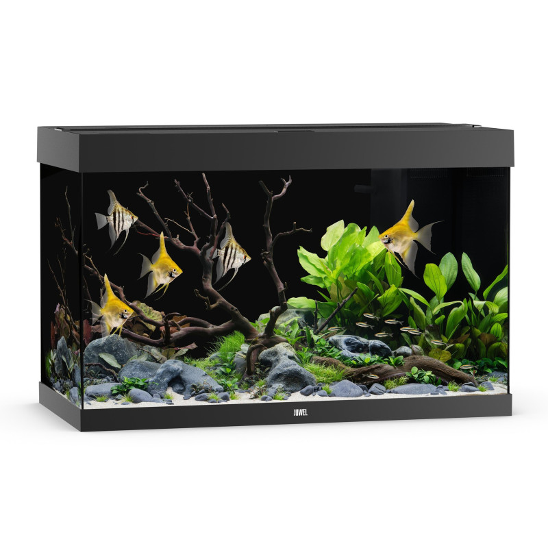 Juwel Rio 290 LED Black