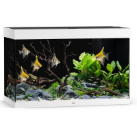 Juwel Rio 290 LED White