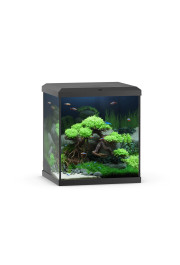 Juwel Vio Cube 54 Black