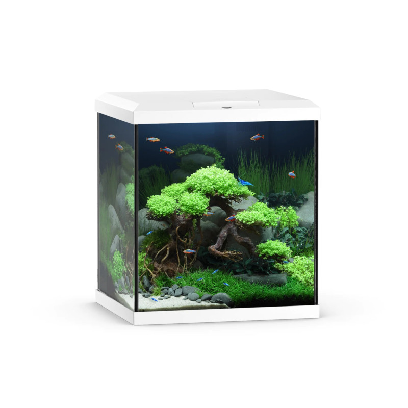 Juwel Vio Cube 54 White