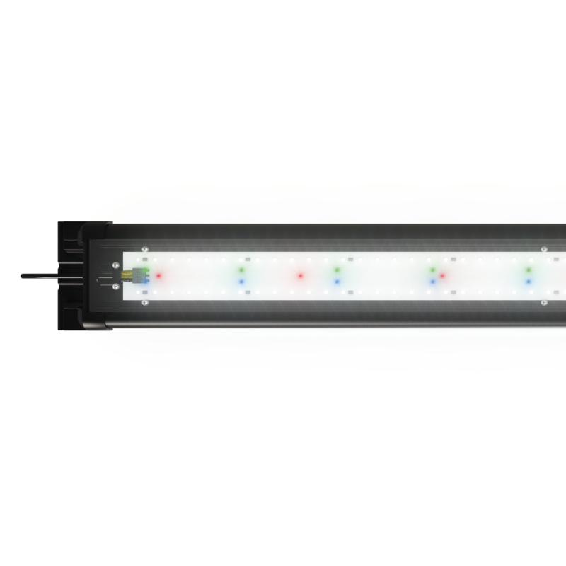 Juwel Helialux Spectrum 600