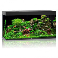 Juwel Rio 350 LED Black