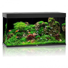 Juwel Rio 450 LED Black