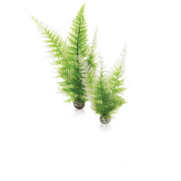 Oase biOrb Aquatic Winter Fern Set 2