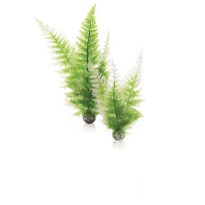 Oase biOrb Aquatic Winter Fern Set 2