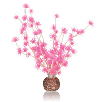 Oase biOrb Bonsai Ball Pink