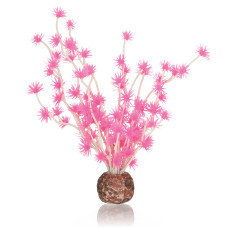 Oase biOrb Bonsai Ball Pink