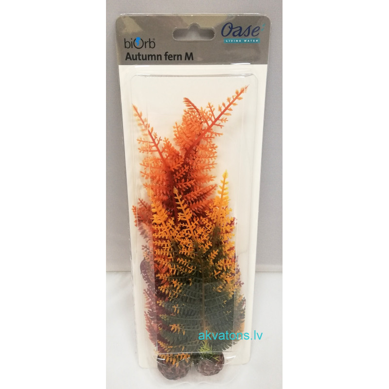 Oase biOrb Aquatic Autumn Fern Set 2
