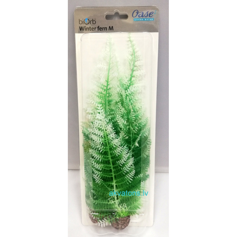Oase biOrb Aquatic Winter Fern Set 2