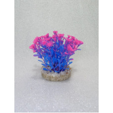 Nano Bush Coloured Pink