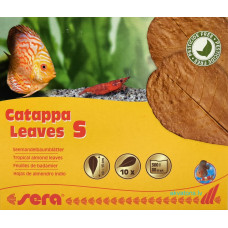 Sera Catappa Leaves S