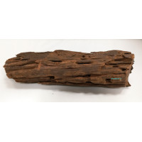Superfish Driftwood L