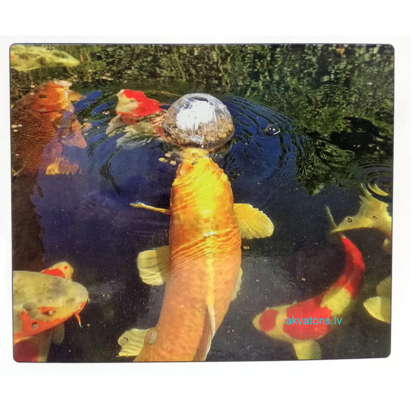 Superfish Koi Toy
