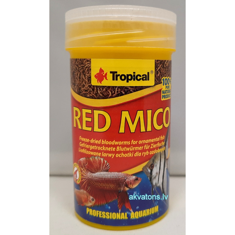 Tropical Red Mico