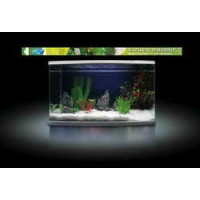 Arcadia Natural Daylight T8 38W
