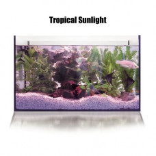 Arcadia Tropical Sunlight T8 15W
